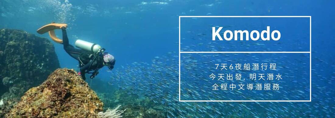Seadiving_Komodo_非船宿